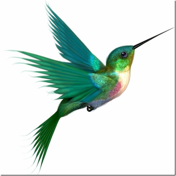 hummingbird bluegreen